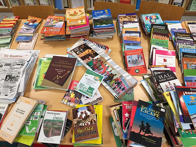 Books Somaliland 2019